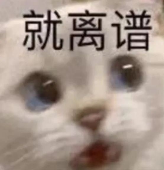 【球盟会】同时跟4个男人聊天的“网恋女友”，线下也太炸裂了吧？