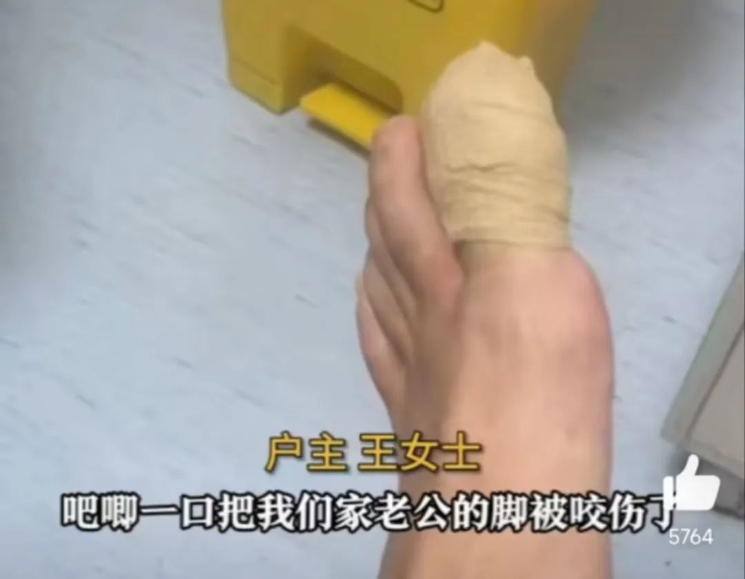 【球盟会】同时跟4个男人聊天的“网恋女友”，线下也太炸裂了吧？