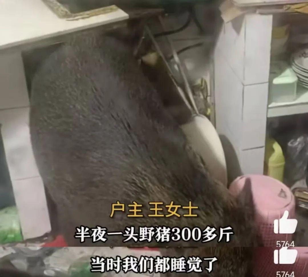 【球盟会】同时跟4个男人聊天的“网恋女友”，线下也太炸裂了吧？