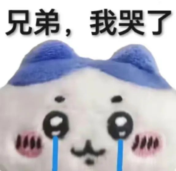 【球盟会】同时跟4个男人聊天的“网恋女友”，线下也太炸裂了吧？