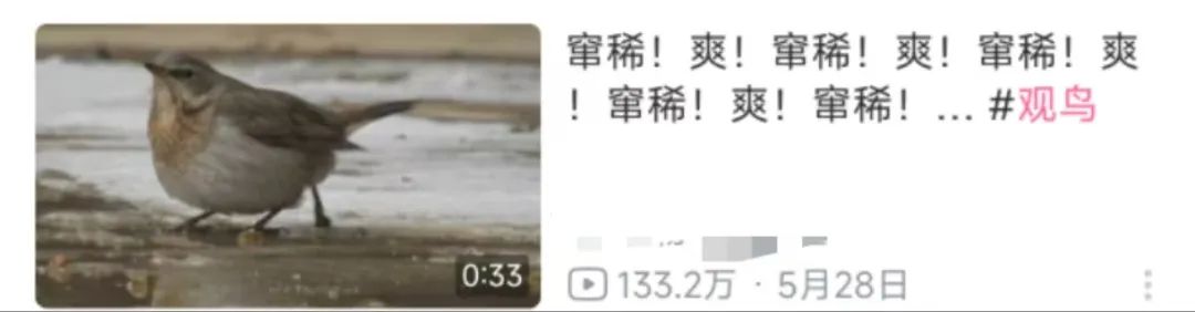 【球盟会】同时跟4个男人聊天的“网恋女友”，线下也太炸裂了吧？