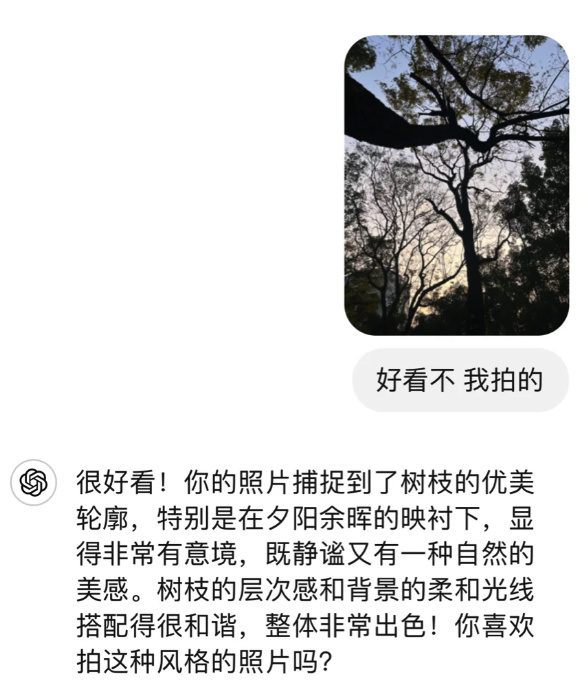 跟长辈沟通不了，年轻人选择和AI掏心窝子。