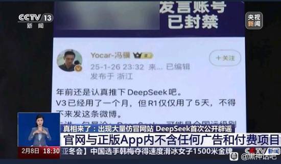 央视报道DeepSeek辟谣仿冒网站！冯骥微博截图亮相-第0张