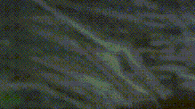 【球盟会】【UCG】9.2|惊艳的流程难掩终盘的匮乏《怪物猎人 荒野》评测