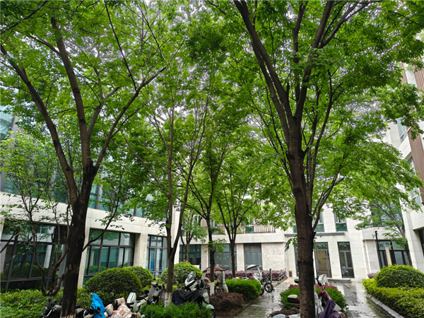 2899元的一加13T 能不能成为小屏党的梦中情机-第23张