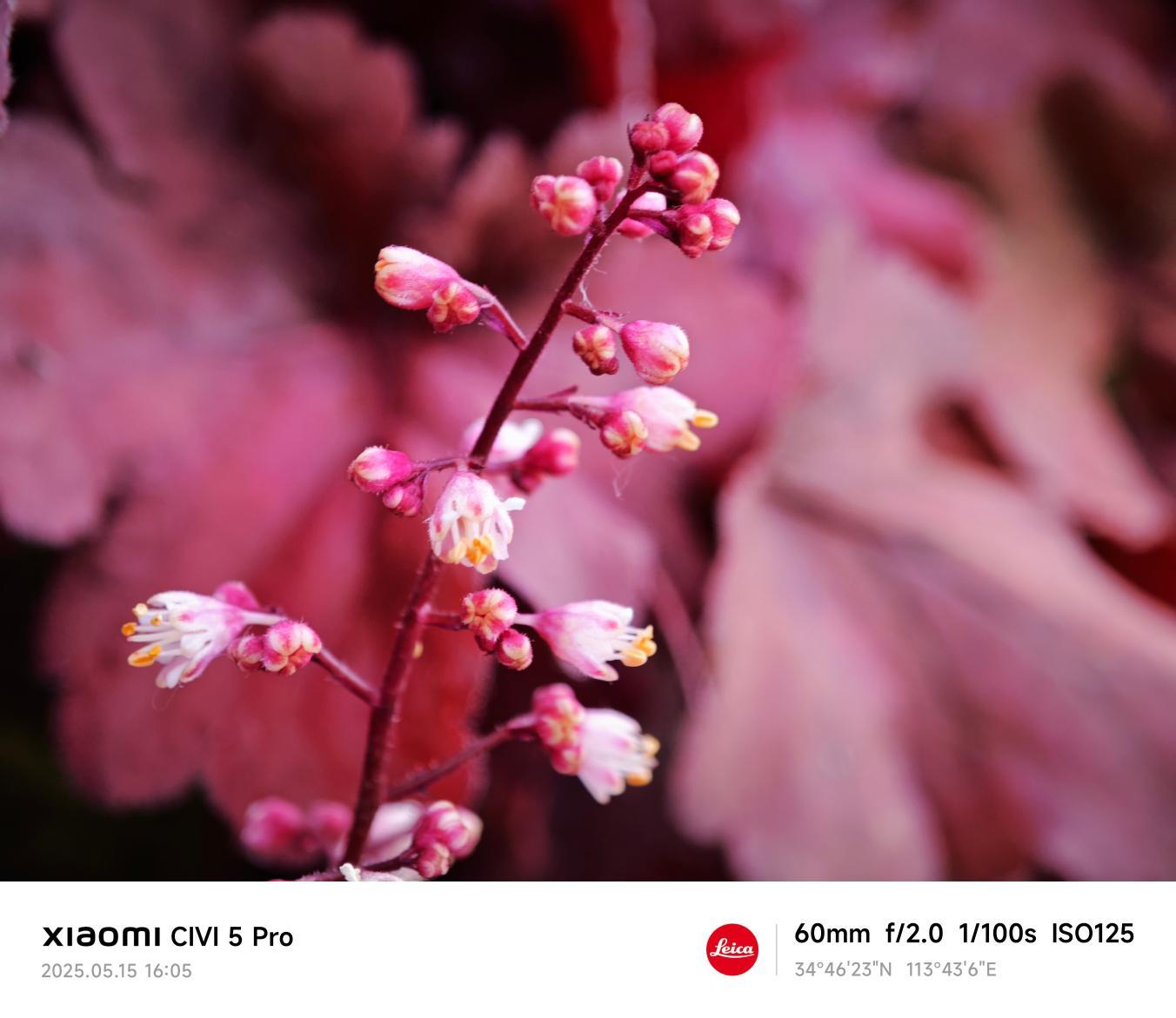 Xiaomi Civi 5 Pro评测:入门旗舰新选择-第13张