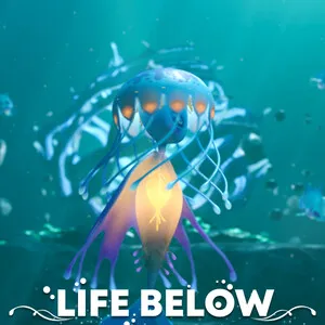 珊瑚礁生活/Life Below