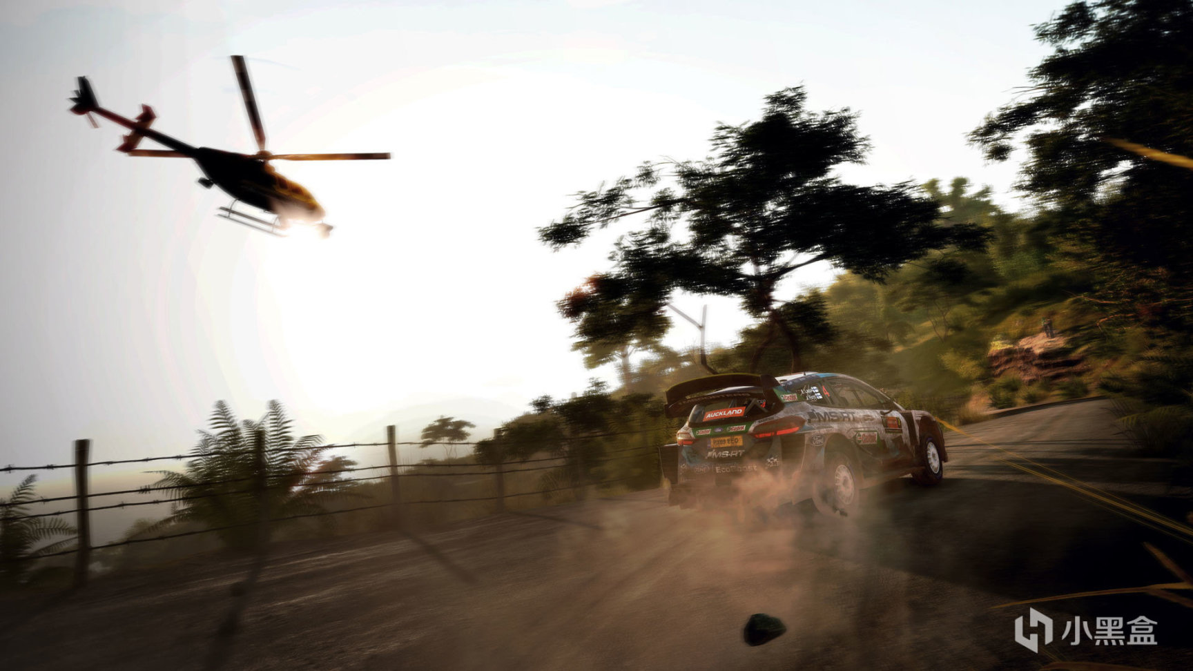 【PC游戏】steam周间特惠 Nacon Games发行商特卖《WRC》系列1折起全打折啦-第5张