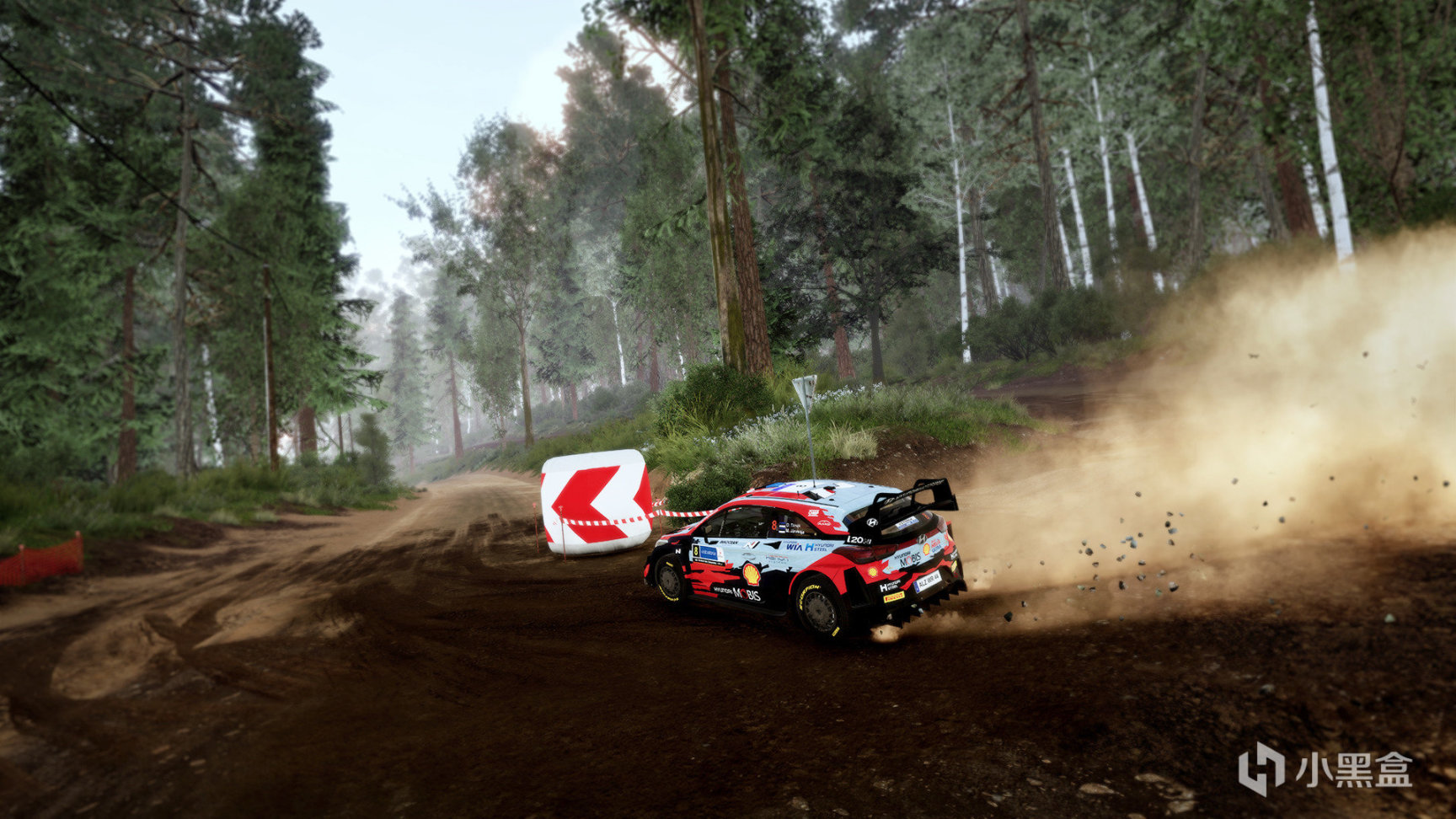 【PC遊戲】steam周間特惠 Nacon Games發行商特賣《WRC》系列1折起全打折啦-第2張