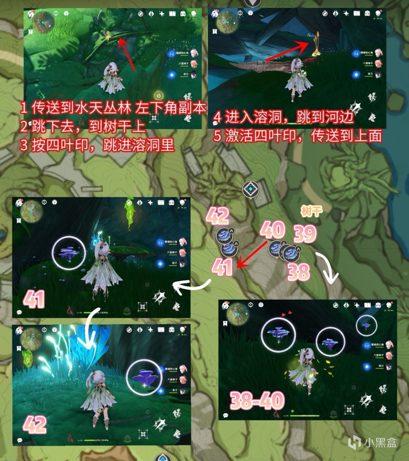 【原神】散兵突破材料｜樹王聖體菇 52個速取路線！只採扎堆的！-第6張