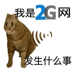 【快樂的前提是沙雕第八十三期】分享+沙雕=快樂-第34張