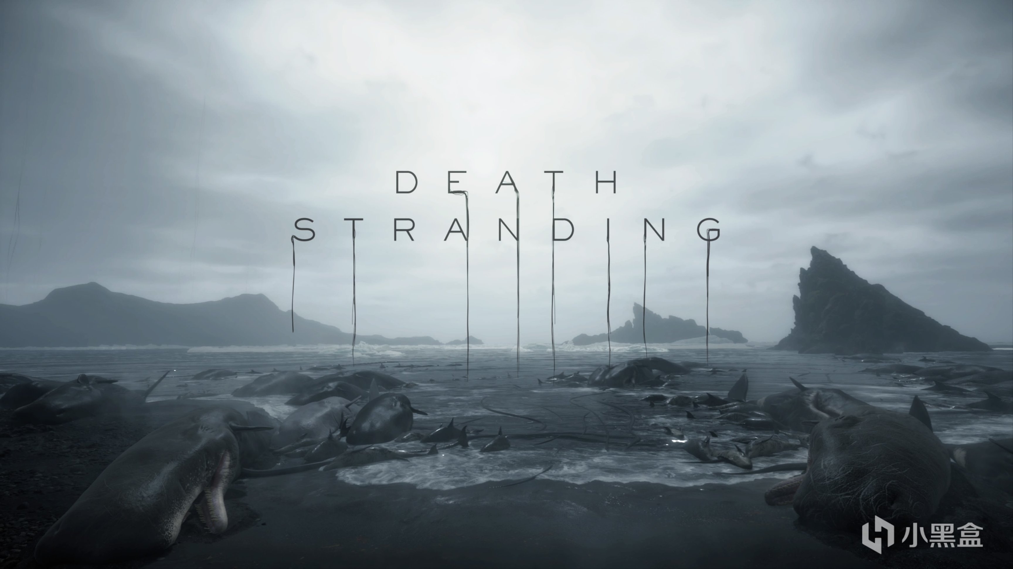 【PC游戏】小岛秀夫称《死亡搁浅2》将会是一部非常规的续作-第0张