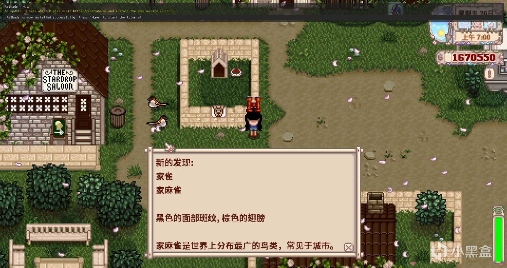 【PC遊戲】星露穀物語MOD推薦——十二月篇-第24張