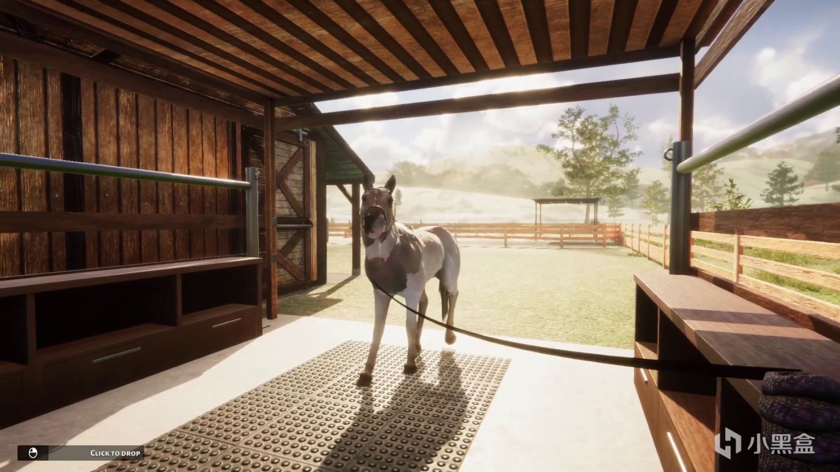 《动物收容所》公布全新DLC——《马匹收容所》闪新登场！-第2张