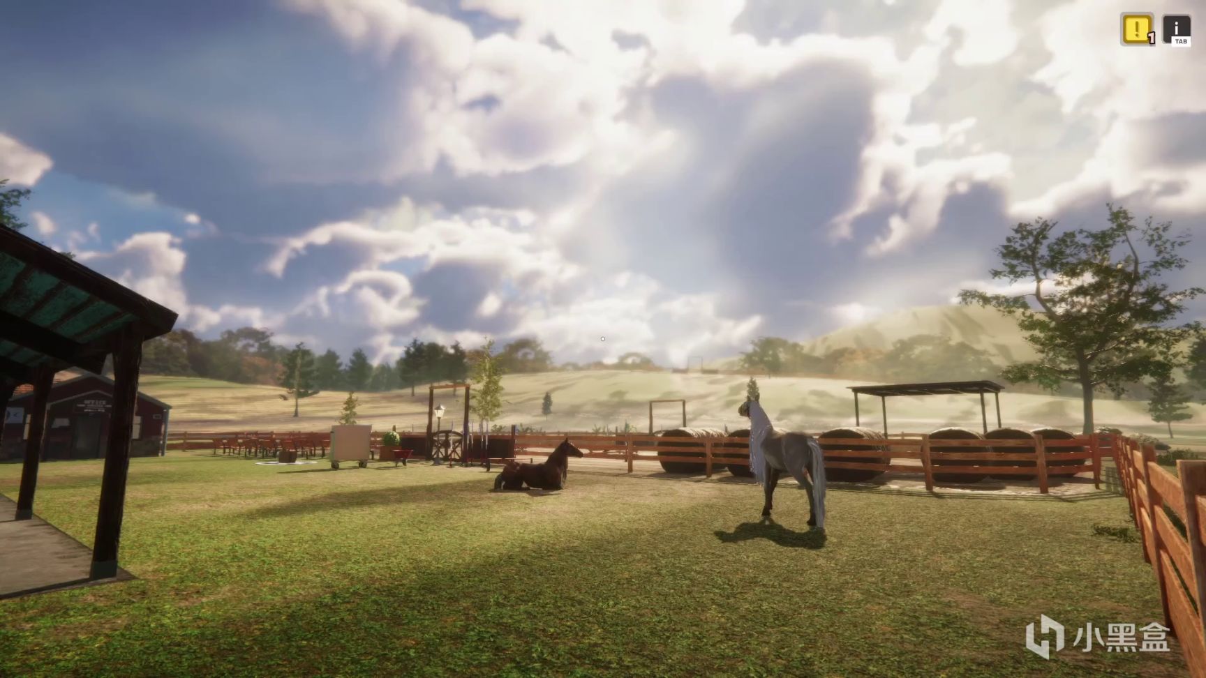《動物收容所》公佈全新DLC——《馬匹收容所》閃新登場！-第5張