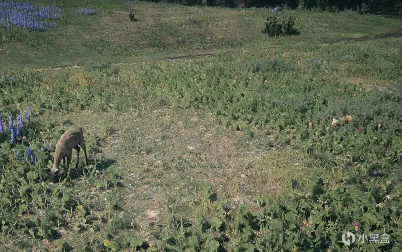 【荒野大鏢客：救贖2】遊戲裡的動物可以被還原到什麼程度？！-第9張