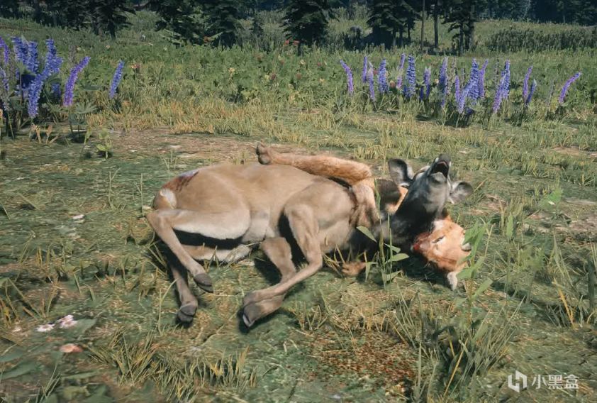 【荒野大鏢客：救贖2】遊戲裡的動物可以被還原到什麼程度？！-第13張
