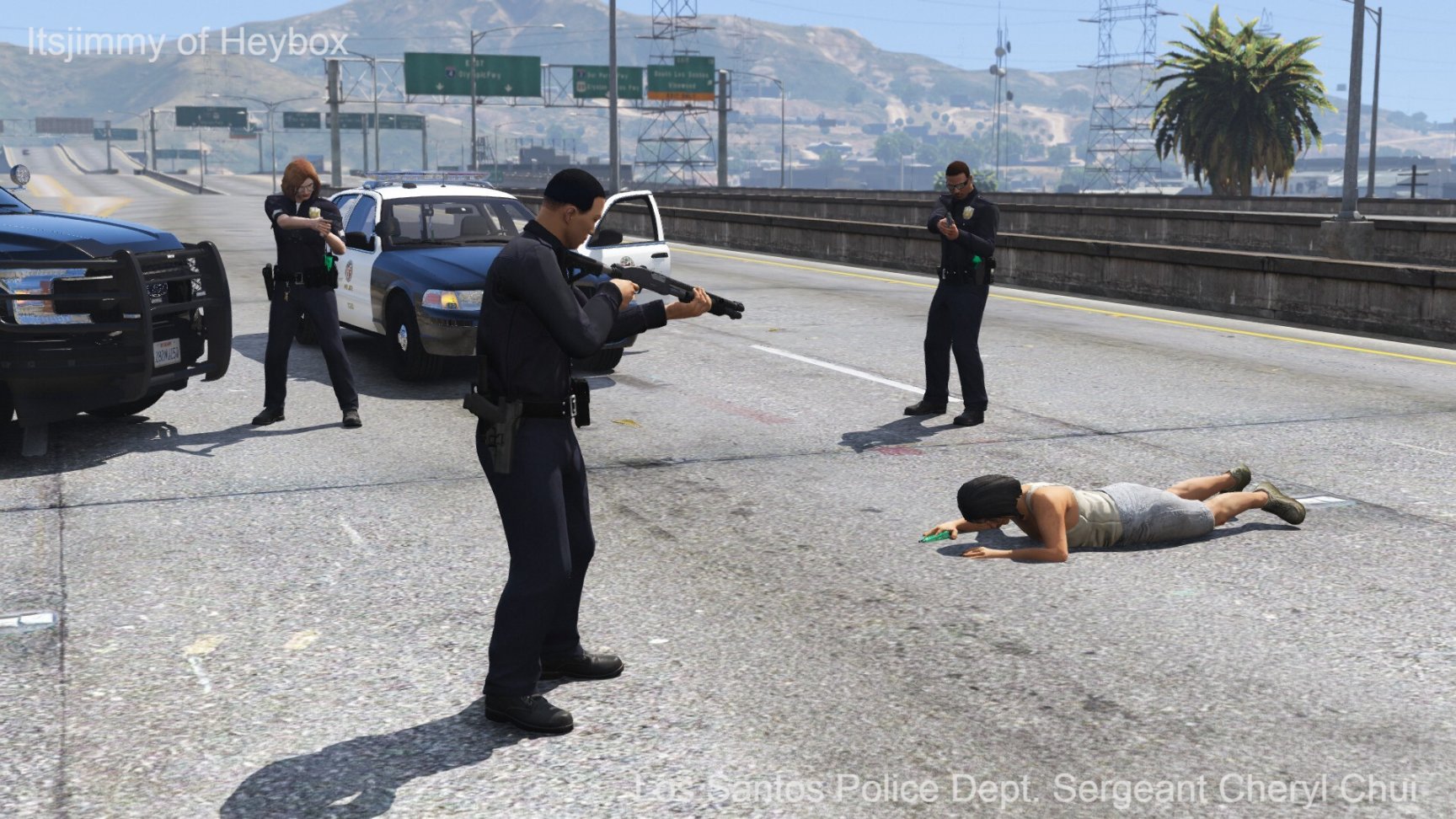 【部门介绍】洛杉矶市警察局-Los Angeles Police Department-第22张