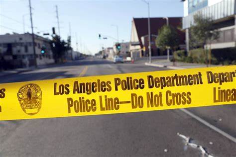 【部门介绍】洛杉矶市警察局-Los Angeles Police Department-第5张