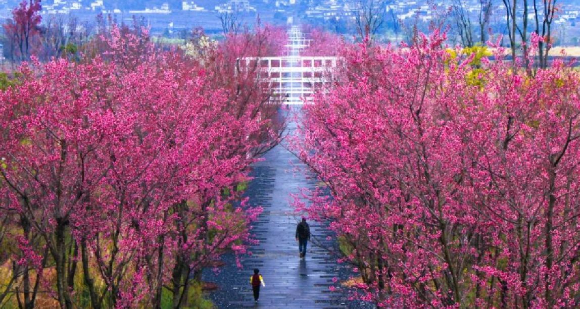 去有山的地方！藏匿的城市——保山