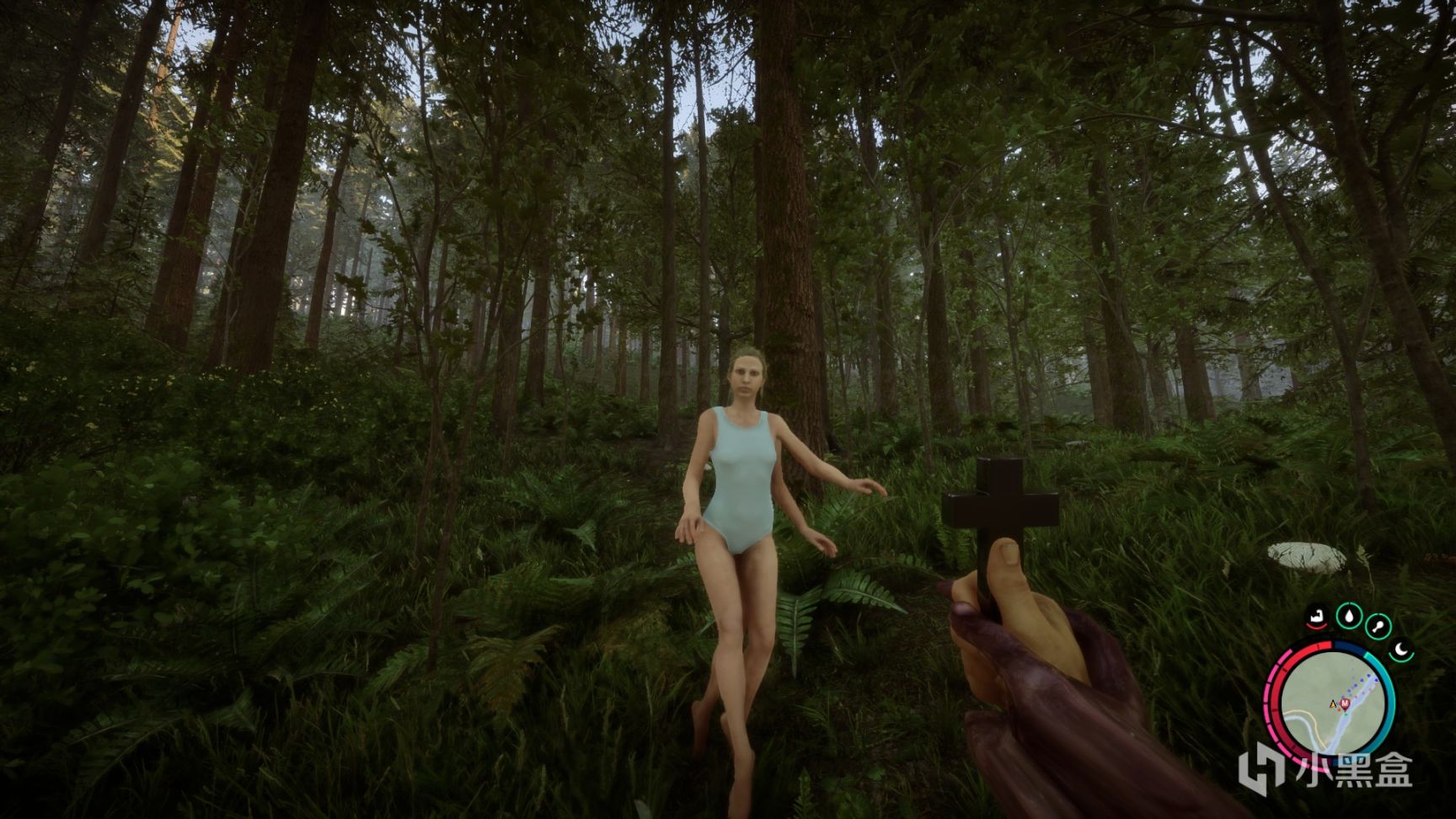 《森林之子》IGN 8分：吸取前作有点，最强生存类游戏！-第16张