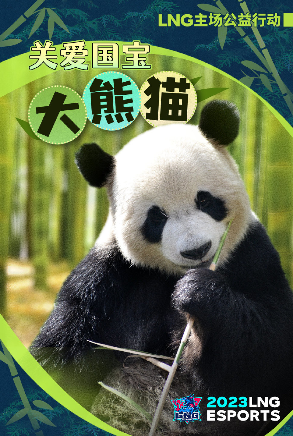 【英雄联盟】联盟日报:明日LNG门票收益捐赠大熊猫中心;UP无缘季后赛-第4张