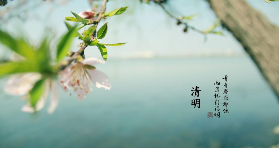 清明时节雨纷纷，传统节日清明节有哪些你不知道的习俗？