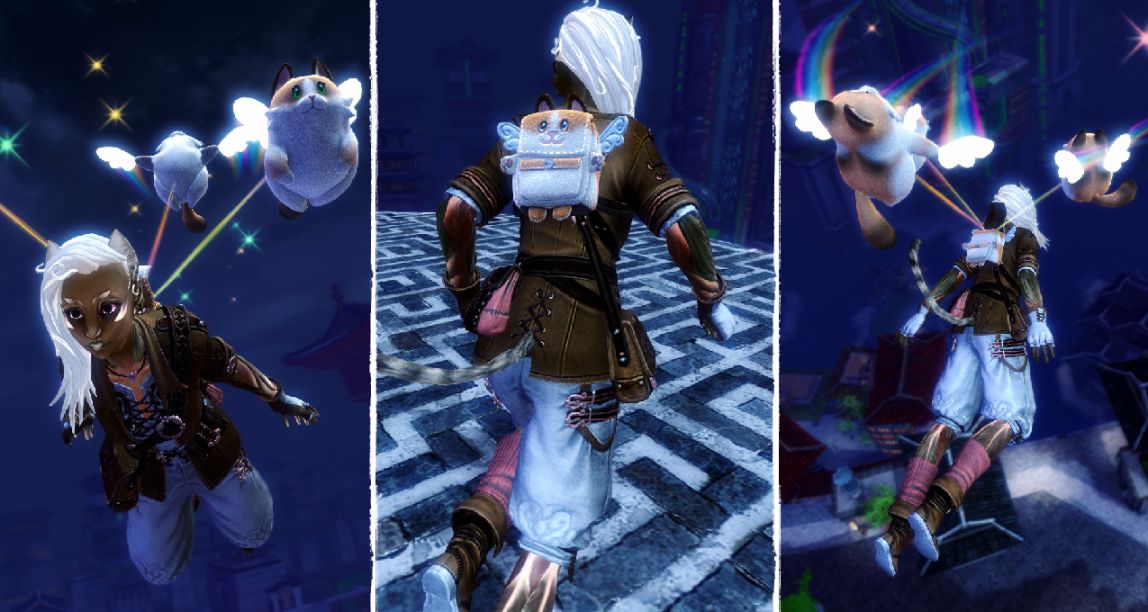 《激戰2》“一起來冒險吧，喵”【冒險貓貓外觀包】全新登場