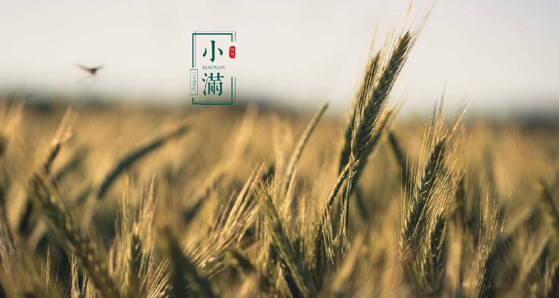 白天搬磚晚上犁地，淺談中國玩家爲何癡迷種田？