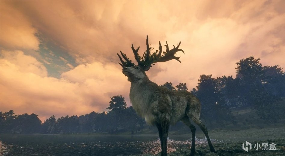 【PC遊戲】荒野的召喚--赤鹿