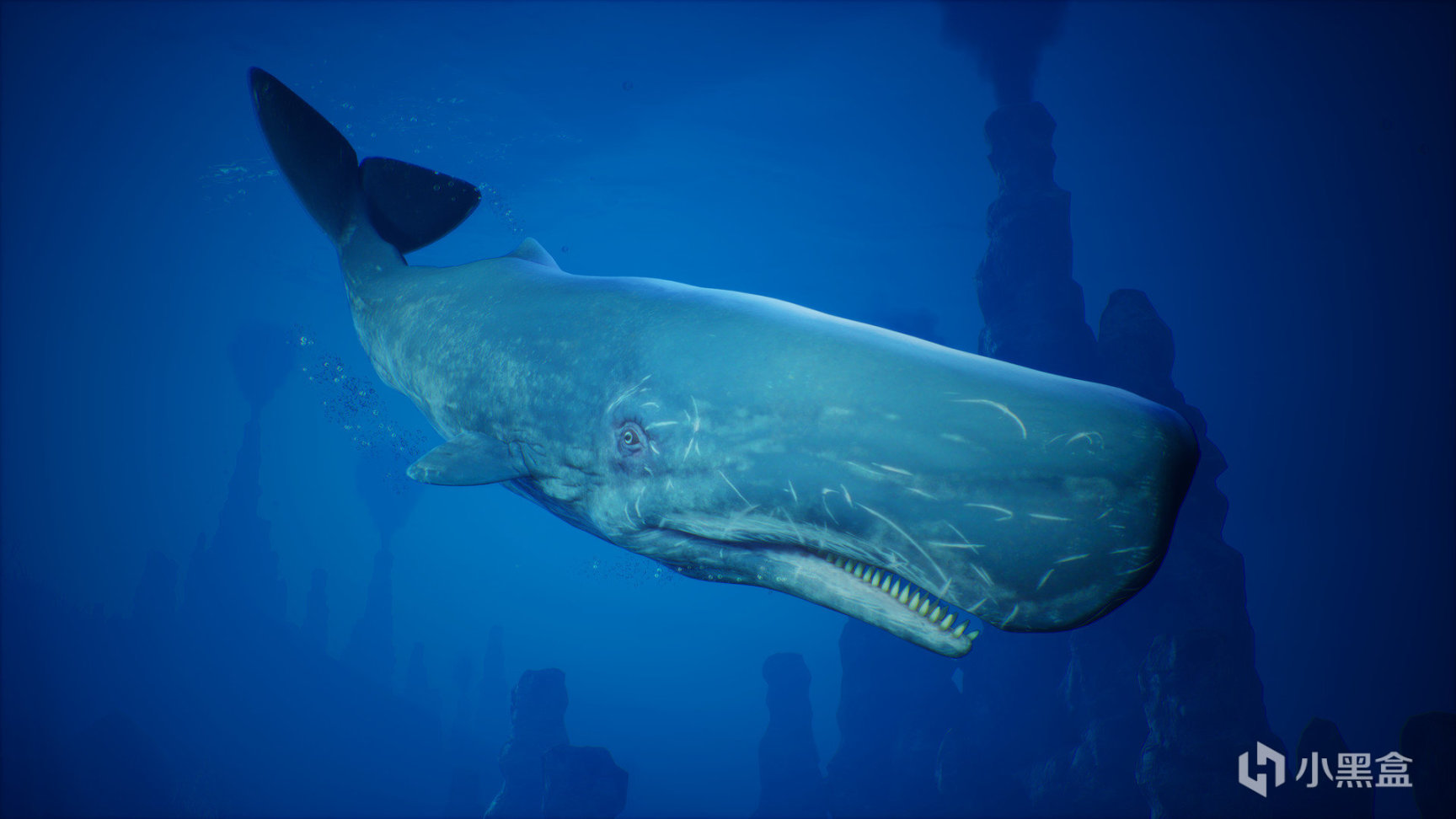 【PC游戏】水底开放世界黑色幽默游戏《食人鲨》新史低40元，阿区4块-第3张
