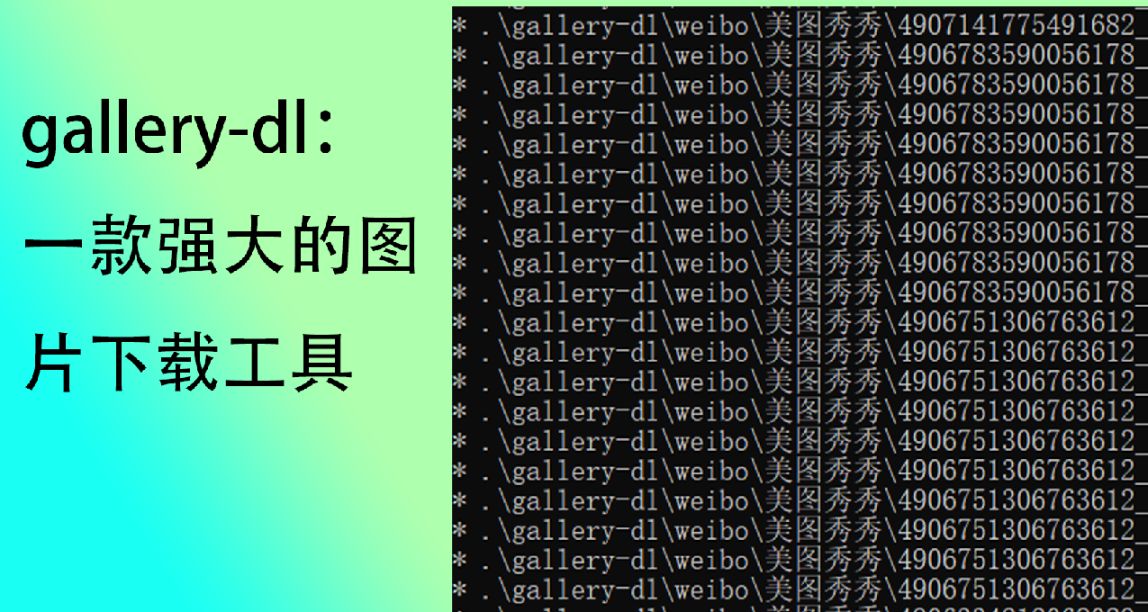 gallery-dl：一款强大的图片下载工具