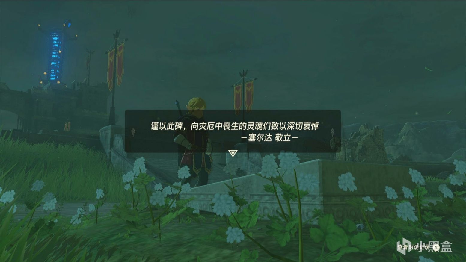 【Switch】舊瓶裝新酒，第九藝術的又一頂峰——《王國之淚》測評-第8張