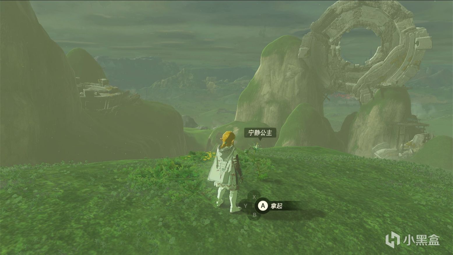 【Switch】舊瓶裝新酒，第九藝術的又一頂峰——《王國之淚》測評-第10張