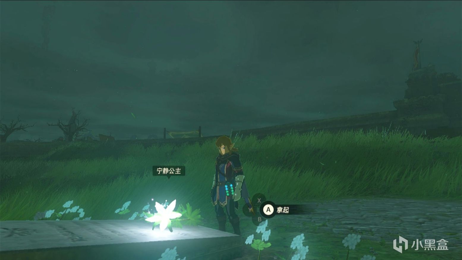 【Switch】舊瓶裝新酒，第九藝術的又一頂峰——《王國之淚》測評-第7張