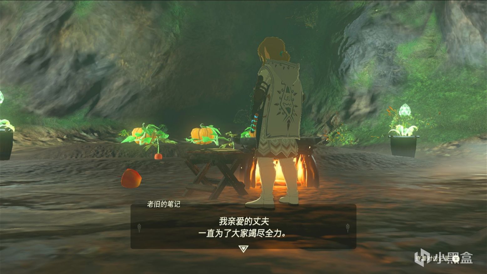【Switch】舊瓶裝新酒，第九藝術的又一頂峰——《王國之淚》測評-第9張