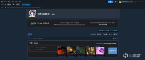 【PC游戏】Steam还能当QQ空间玩？装修你的Steam主页-第5张