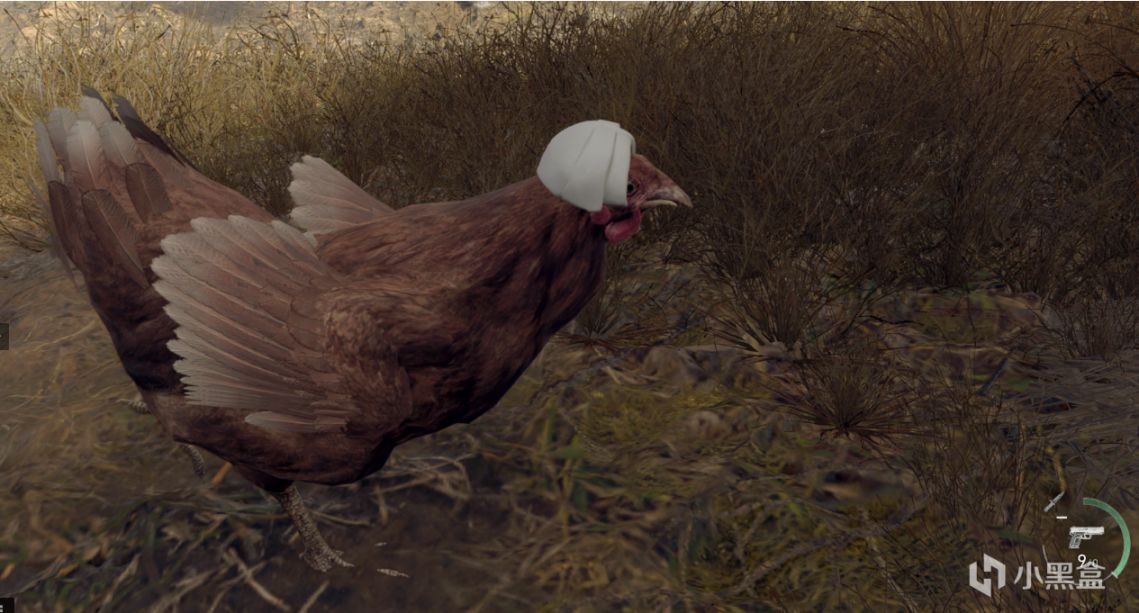 【PC游戏】生化危机4重制版MOD推荐——生化暖暖篇-第19张