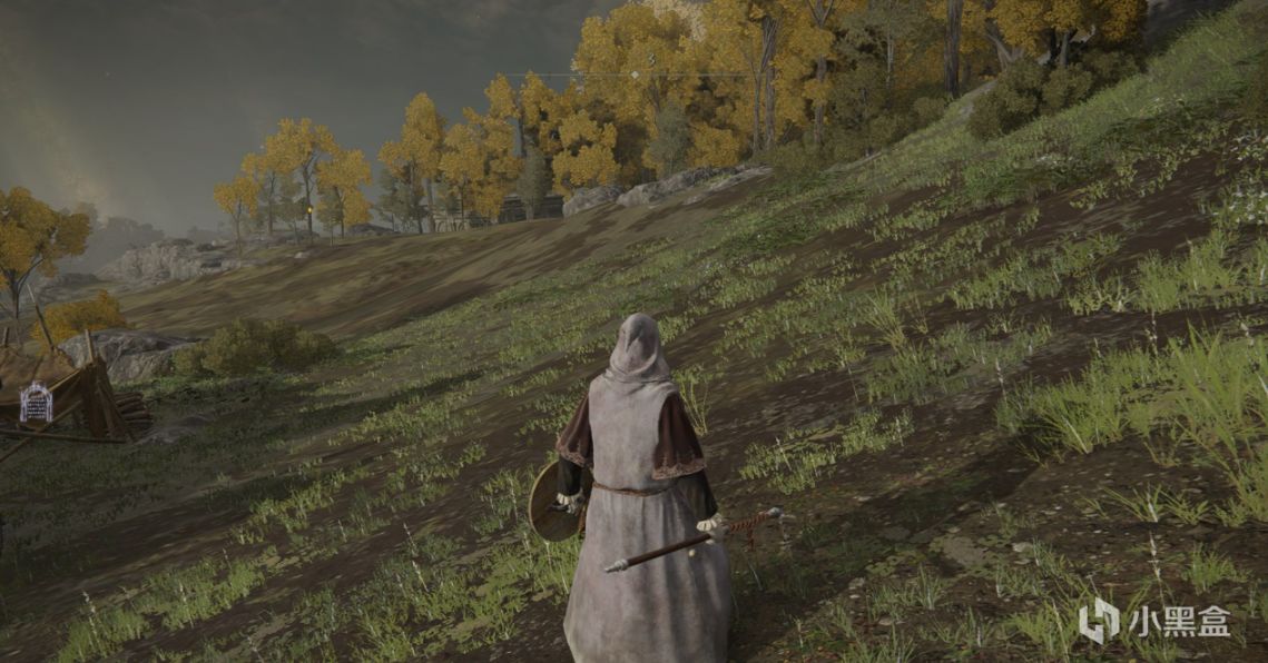 【PC游戏】艾尔登法环MOD推荐——功能篇-第7张