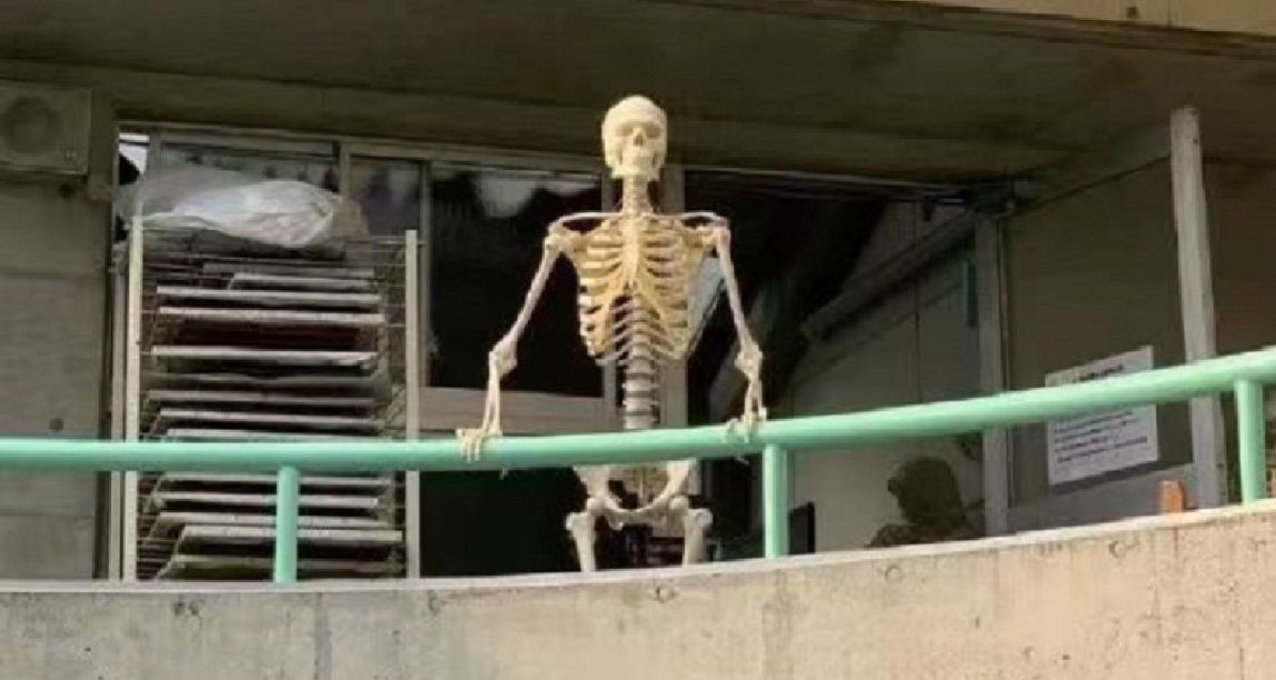 劝人学医，天打雷劈？谈谈学医的好坏