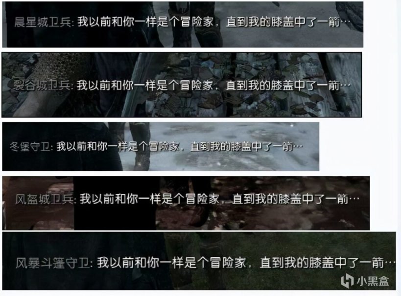 【PC遊戲】“我以前和你一樣也是個冒險家，直到我的膝蓋中了一箭”-第0張