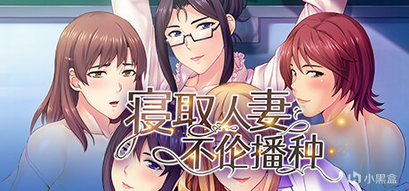 【PC遊戲】阿根廷補全計劃H15號文件-第8張