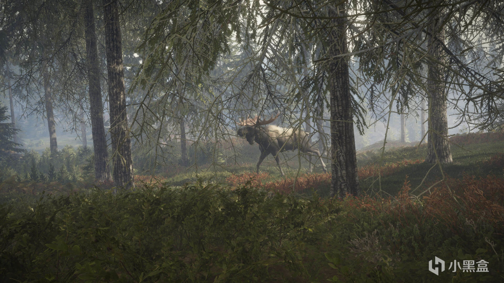 【PC游戏】epic下周送《纳赫鲁博王国地下城》本周送《猎人荒野的召唤》-第2张