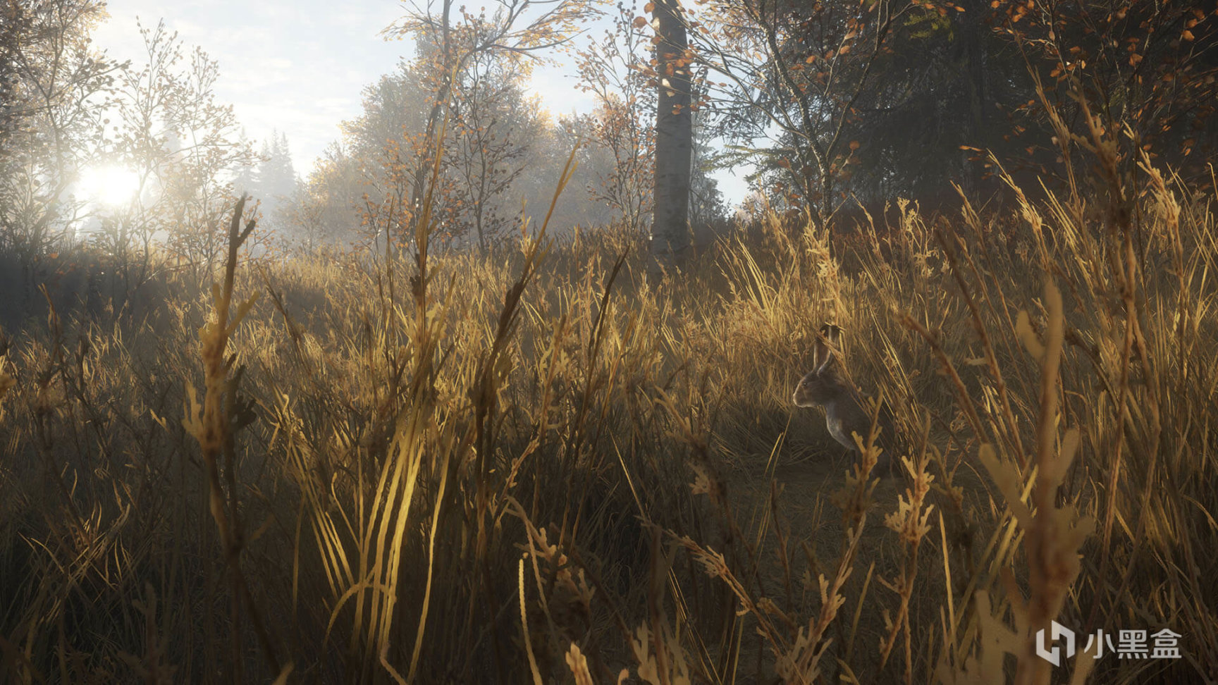 【PC游戏】epic下周送《纳赫鲁博王国地下城》本周送《猎人荒野的召唤》-第3张