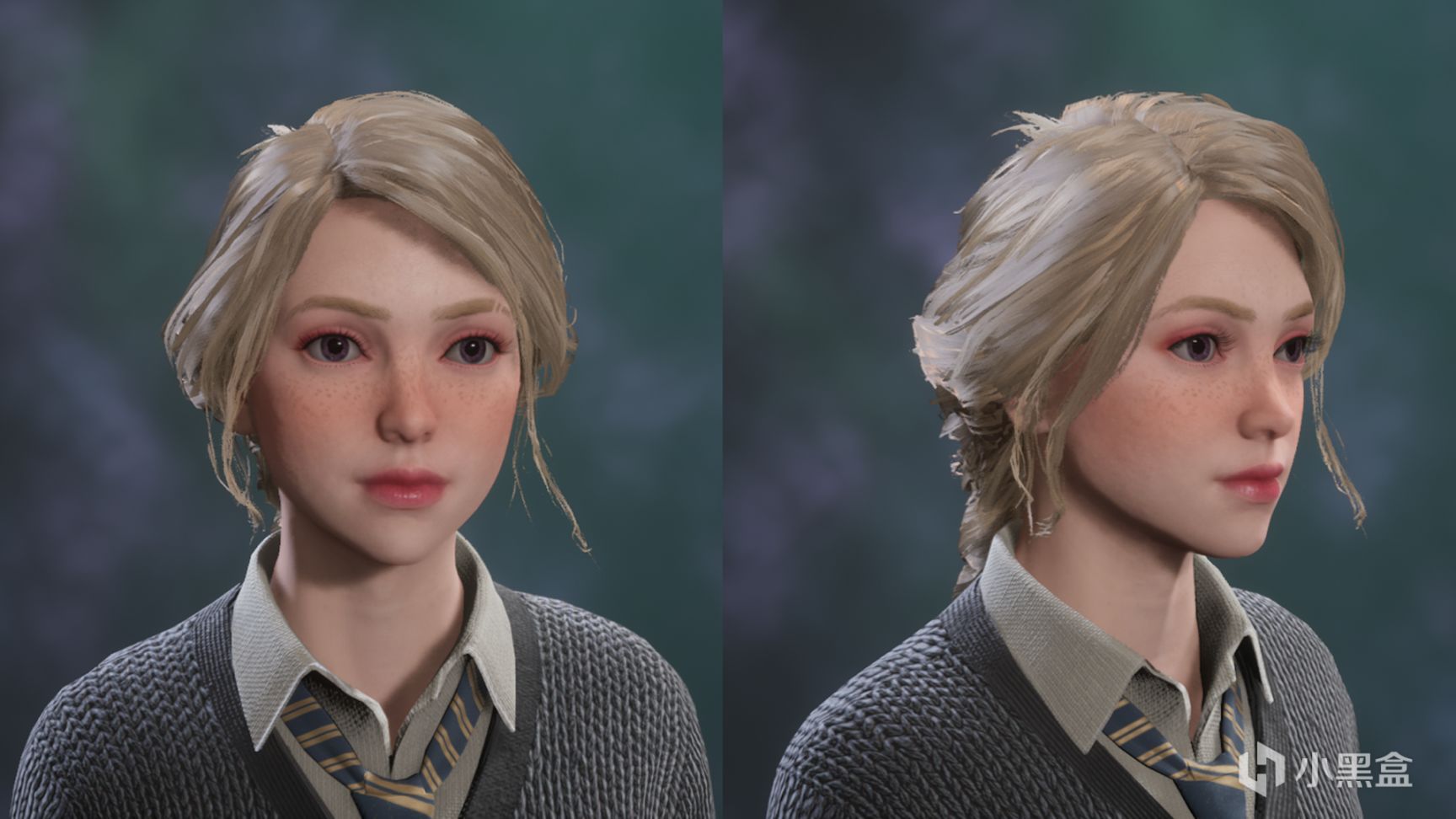 【PC游戏】皇家女子学院——霍格沃茨之遗Mod推荐（夏促专享＃2）-第14张