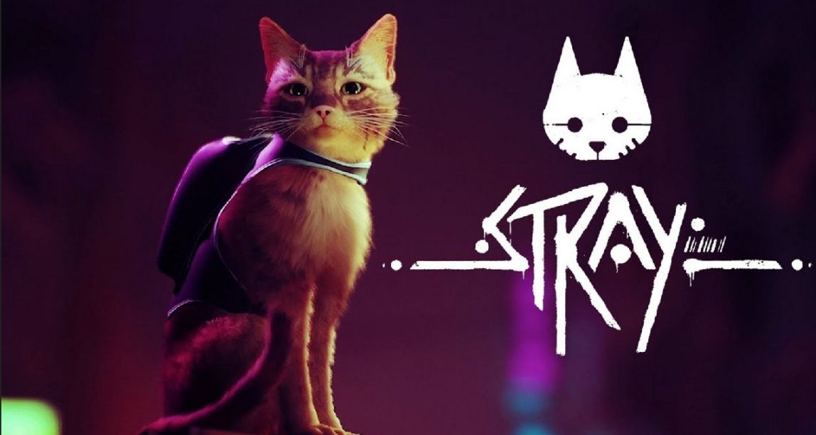 《stray》饱受争议的“年度最佳独立”，到底是不是浪得虚名？