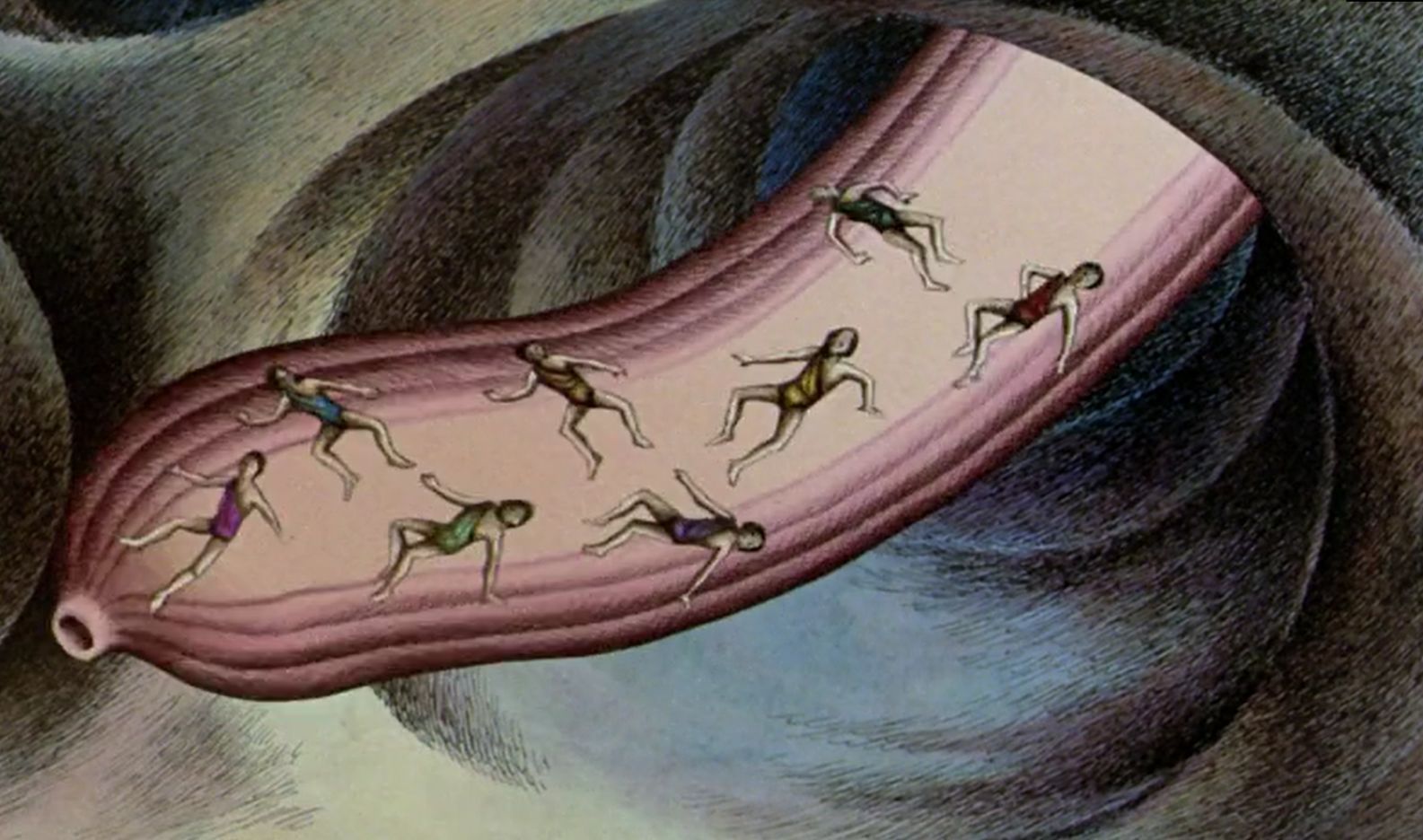 【影視動漫】當人類被像螞蟻一樣玩弄虐殺：70年代的超前想象力《原始星球》-第19張