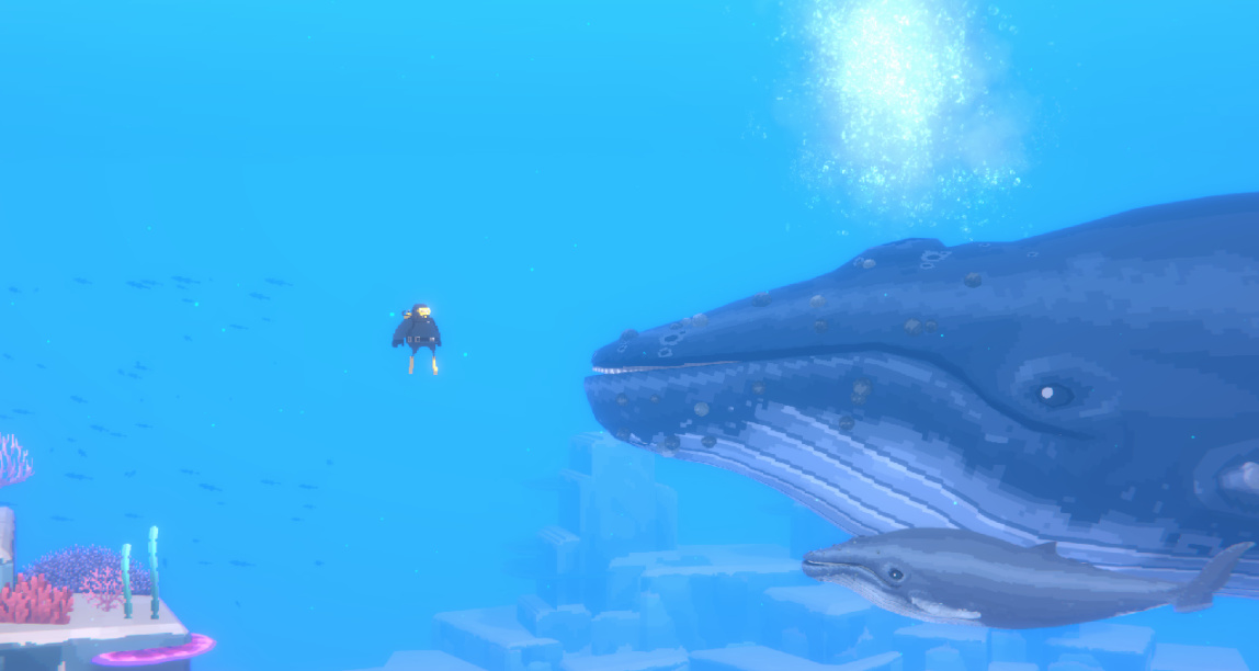 《潛水員戴夫》答疑帖（持續更新）