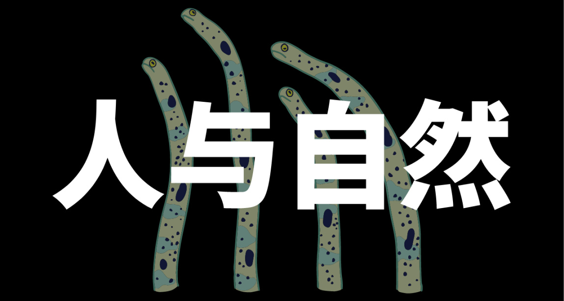 有毒藻类正在侵占佛罗里达州的一个巨大湖泊