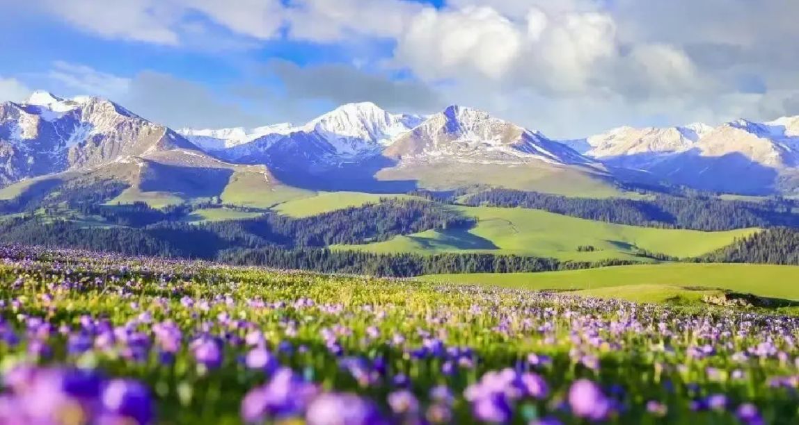 徒步圣地！懒人也能享受美景！五个国内风格不同的路线推荐